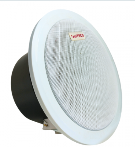 *astCS10 - 10W Ceiling IP PA Speaker
